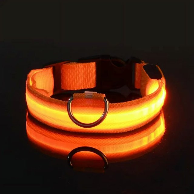 Pet Collar Cat Luminous Pet LED No Printed Luminous Safety Collar for Cats Dogs
