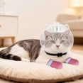 thumbnail image 4 of Cat Grooming Muzzle Transparent Breathable Head Cover With Silicone Pads For Safe Nail Trimming And Bath, 4 of 5