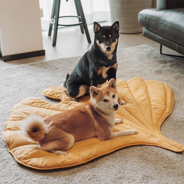 Baohd Durable Dog Bed With Complete Thread Collection Machine Washable Pet Blanket yellow 127*115 cm