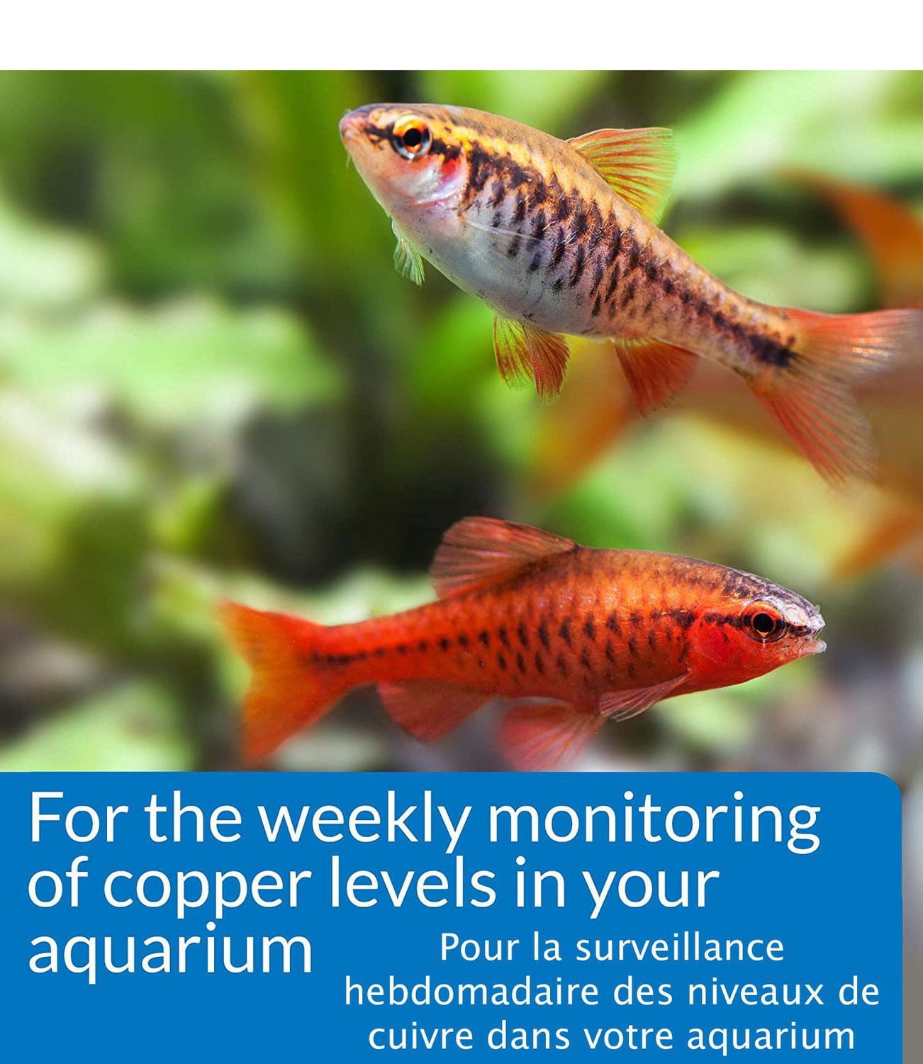 API Copper Test Kit for Freshwater & Saltwater Aquariums, 90 Tests