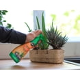 thumbnail image 3 of Miracle-Gro Succulent Plant Food 236mL, 3 of 6