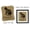Beige, variant on Darling Souvenir Love Burlap Print Wall Decor Cat Memorial Personalized Pet Loss Sympathy Gift-Burlap Print Only(8 x 10 Inches)