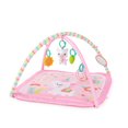 thumbnail image 1 of Tapis d’éveil Daydream Blooms de Bright Starts, 1 of 7
