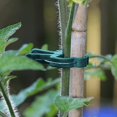thumbnail image 4 of 60 pcs (2 sizes in one pack) Plant Clips Plant Clips Ideal for Securing Plants Supports planting, 4 of 4