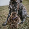 thumbnail image 4 of Star Wars Chewbacca Squeaker Plush Dog Toy, 4 of 5