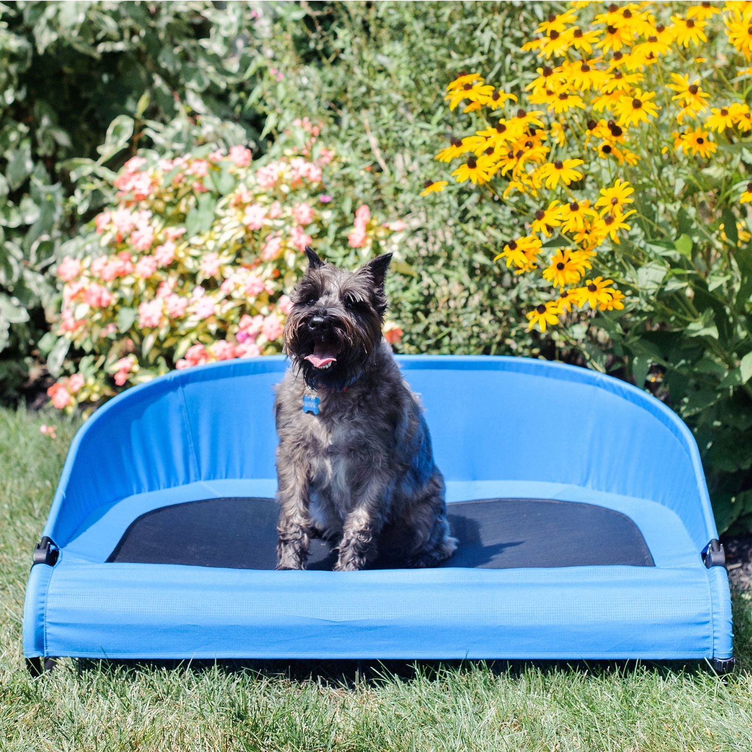 Lit pour animal domestique Cool-Air Cot de Gen7Pets, 76 cm (30 po)