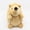 Khaki 2E9, variant on Rvkxad Immortal Squeaker Hedgehog Toy, Durable Chew Resistant Pet Toy for Aggressive Chewers, Dog Chew Toy