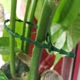 thumbnail image 4 of 30 Pcs Liens Verts Polyvalents pour Arbres et Vignes, Plastique, Liens Horticoles Fixes, Sangle de Lien, Jardin, Lien pour Arêtes de Poisson, 4 of 9