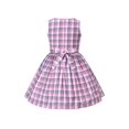 thumbnail image 2 of Robe Fille Blanche Rouge à Carreaux Douce Vintage Classique Bouffante Sans Manches 5 Ans, 2 of 7
