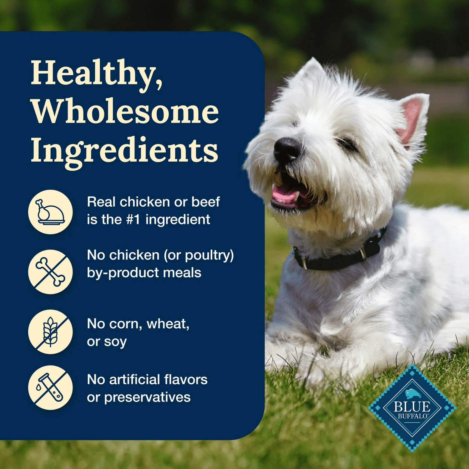Blue Buffalo Tempting Toppers Natural Wet Dog Food Topper Variety, Lamb & Turkey Dinner 100g