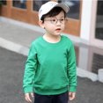 thumbnail image 1 of LSLJS Toddler Baby Boy Girl Fleece Pullover Sweatshirt Solid Color Crewneck Blouse Shirt Tops Warm Fall Winter Clothes, 1 of 5