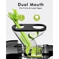 thumbnail image 2 of SiFENE 100W Cold Press Juicer Machine, Compact Single Serve Slow Masticating Juicer for Vegetable and Fruit, Easy to Clean, Black, 2 of 8
