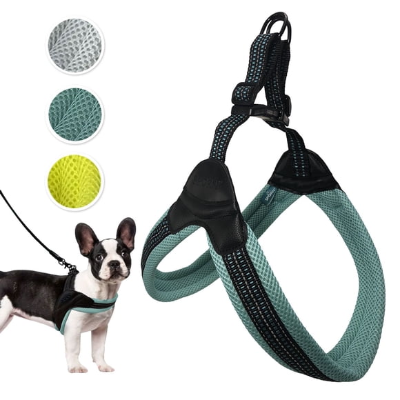 Sporn Easy-Fit Mesh Dog Harness, Breathable & Easy Dog Walking Harness, Turquoise, Small