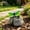 Green, variant on Kmonabie Illuminated Garden Light with Eye Catching Colorful Glow, Natural Stone Inspired Base Outdoor Decor Compact 5.12 Inch Solar Light for Pathways Flower Beds Patios