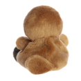 thumbnail image 3 of Aurora Palm Pals - Patty Platypus, 3 of 3