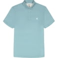 thumbnail image 2 of IZOD POLO GOLF IMPRIMÉ, 2 of 5