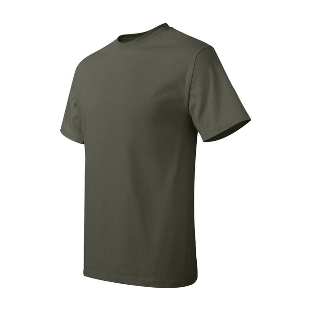 Hanes Men's Authentic-T T-Shirt - 5250T (Pack Of 3)