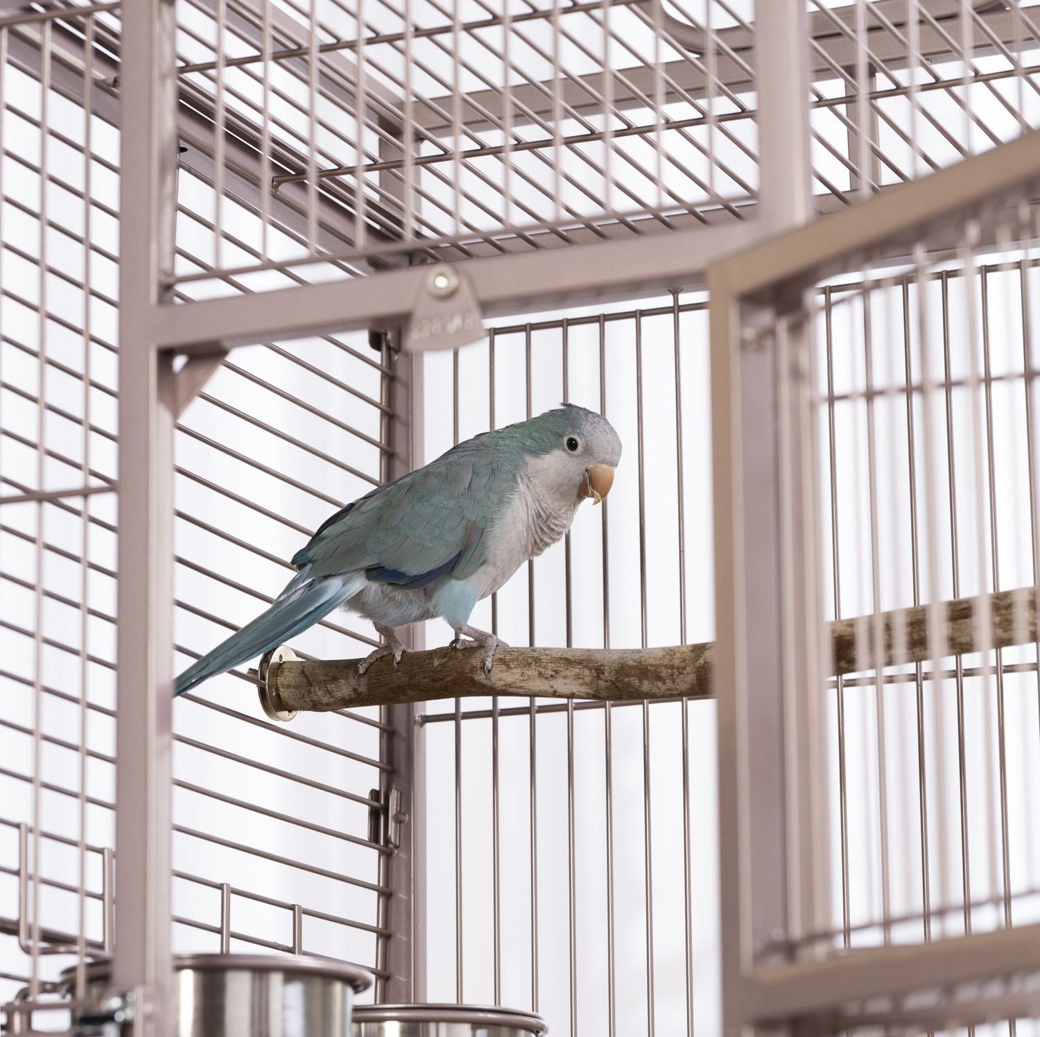 Cage à oiseaux Prevue poli Select Blush