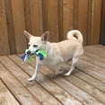thumbnail image 2 of Dogit Knotted Rope Multi-Coloured Rope Bone Dog Toy Small, 2 of 5