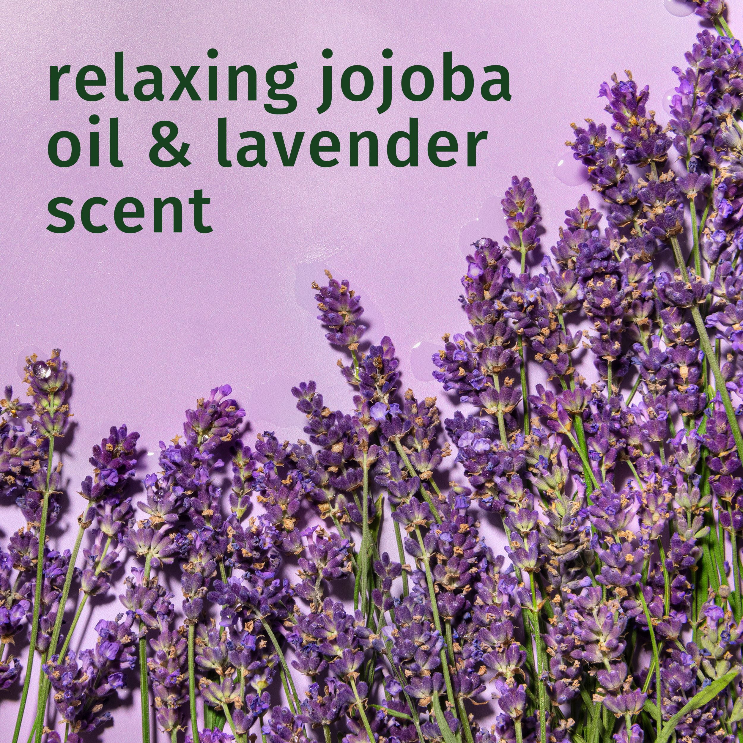 HERBAL ESSENCES Boucles JOJOBA et Lavande Shampooing