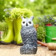 thumbnail image 2 of Almencla Sculpture d'Épouvantail Hibou Décoration d'Halloween Extérieure Hibou Oiseau Dissuasifs pour Cour Extérieur A, 2 of 8