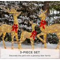 thumbnail image 2 of 3pcs Lighted Christmas Deer Family Set Outdoor Yard Decoration, 2 of 4