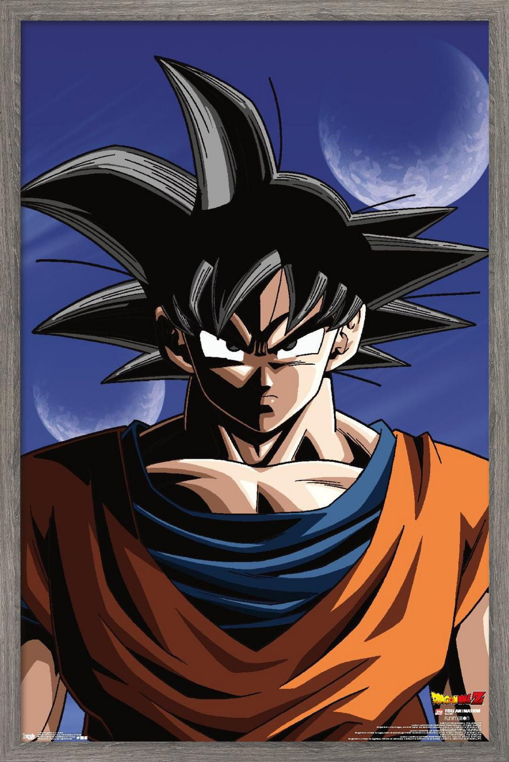Dragon Ball Z - Goku