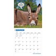 thumbnail image 3 of BrownTrout Jackasses 2024 12x24 Inch Square Wall Calendar, 9781975463359, 3 of 8
