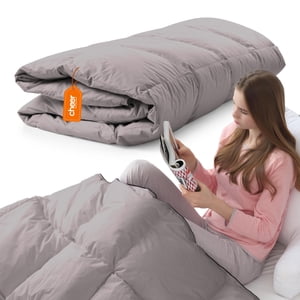 Cheer Collection Queen Consolateur - Down Alternative Comforter Queen Size, Cozy et Lightweight Bed Comforter, Fluffy Duvet Insert, Bedding Comforters pour toutes les saisons, gris