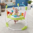 thumbnail image 4 of Fisher-Price Fitness Fun Folding Jumperoo, 4 of 6