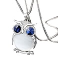 thumbnail image 2 of EGNMCR Colliers et Pendentifs Femmes Hibou Pendentif en Strass Collier Long Collier Collier, 2 of 2