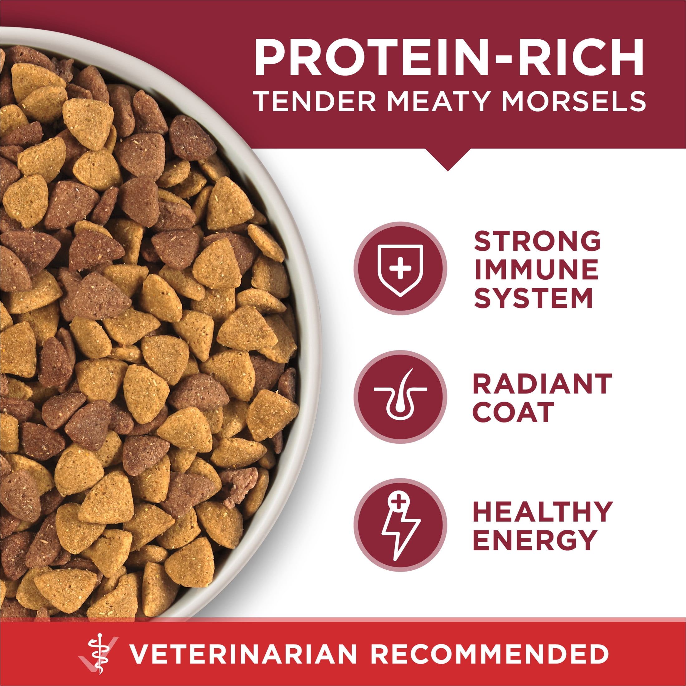 Purina ONE Équilibre du Microbiome Formule au Bœuf & au Riz, Nourriture Sèche pour Chiens 1.72kg
