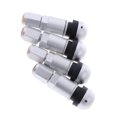 thumbnail image 1 of 4 Pcs Capuchons d'Auto pour Roue Sans Chambre à Air de Voiture, Anti-Poussière, Valve de Pneu Sans Chambre à Air, Tiges de Valve, Argent Clair de Lune + Noir, 1 of 8