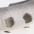 thumbnail image 5 of GUOOL Lifelike Artificial Carp Ornament for Home Kitchen Aquarium Decoration Grey-Big, 5 of 5