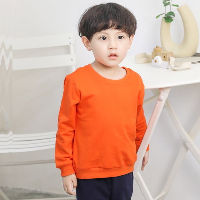 LSLJS Toddler Baby Boy Girl Fleece Pullover Sweatshirt Solid Color Crewneck Blouse Shirt Tops Warm Fall Winter Clothes