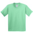 thumbnail image 1 of Gildan Youth  Heavy Cotton T-Shirt, 1 of 2