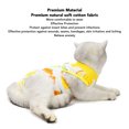 thumbnail image 3 of Combinaison de Convalescence pour Chat Combinaison de Convalescence pour Chaton Grenouillère pour Chat Alternative au Collier en E pour Chats et Chiens Peau Abdominale Pyjama Anti-Léchage, 3 of 8