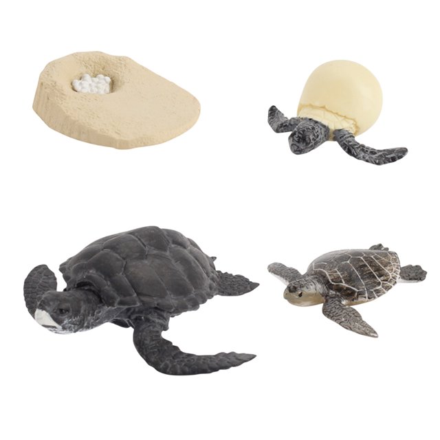 Plastic Animals Figures 4 Piece Insect Figure Animal Life Cycle Plastic Brood to Mature Period