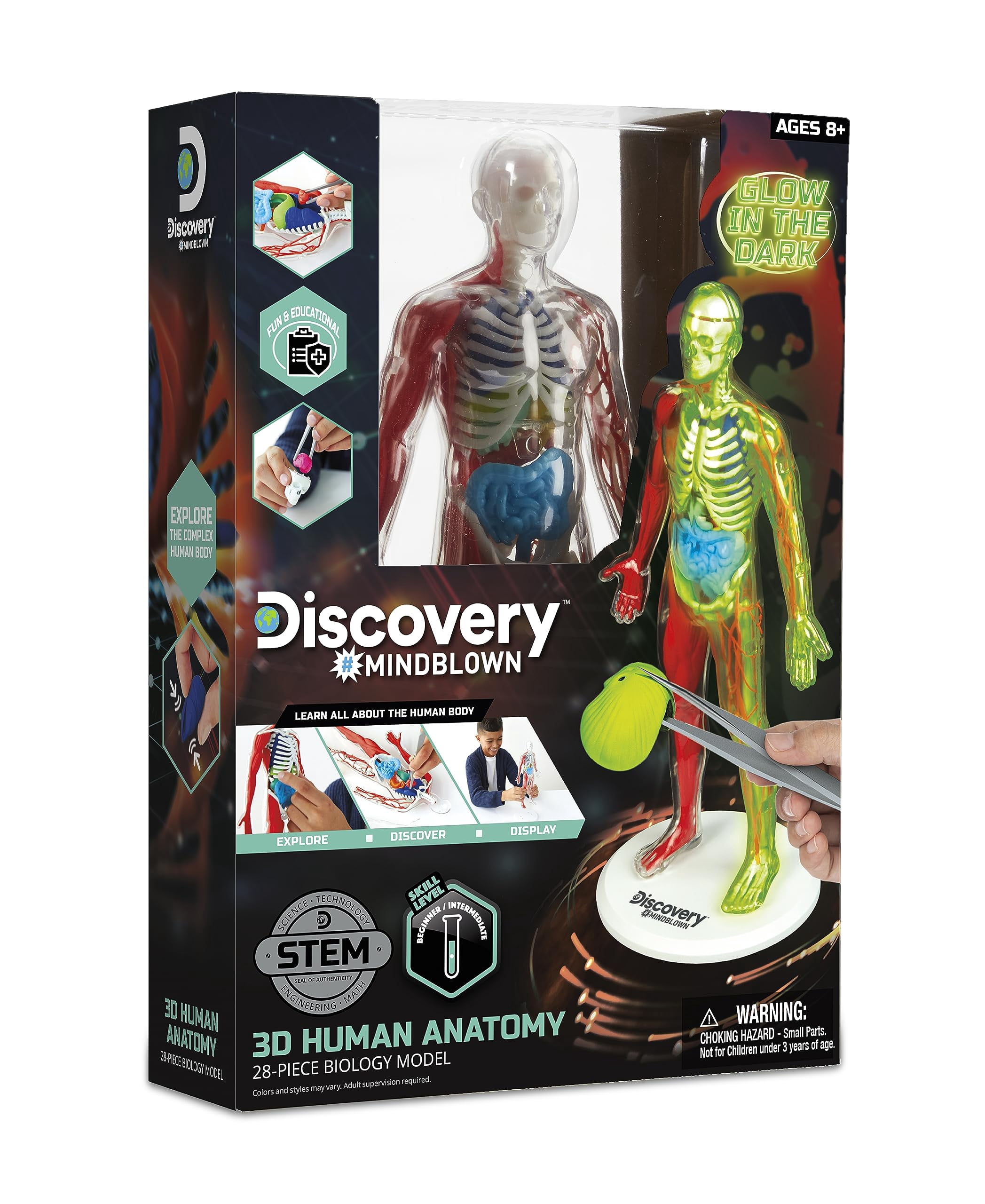 Ensemble Anatomie humaine Discovery