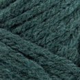 thumbnail image 2 of Lion Brand Hue + Me Yarn - Genévrier, 2 of 5