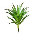 thumbnail image 1 of Coofit Artificial Succulent Plastic Faux DIY Succulent Plant Unpotted Succulent for Home, 1 of 10