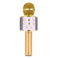 thumbnail image 1 of Microphone Portatif Sans Fil, Haut-Parleur Micro Portable pour Enfants, 1 of 10