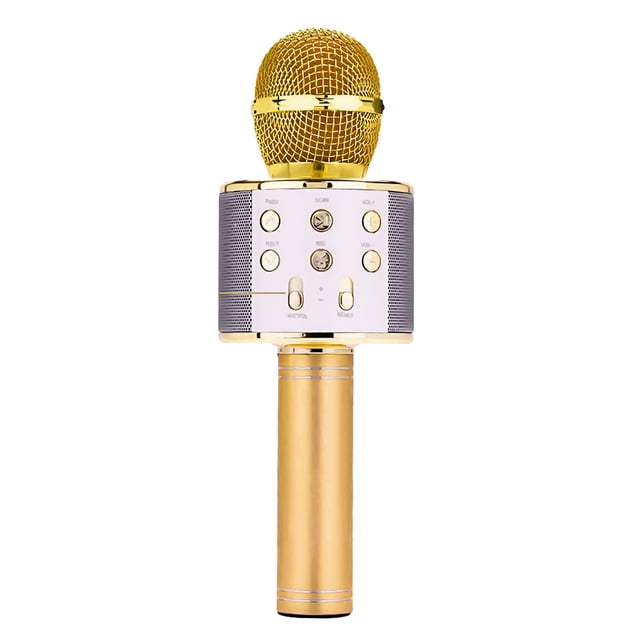 Microphone Portatif Sans Fil, Haut-Parleur Micro Portable pour Enfants