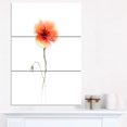 thumbnail image 1 of Large Pink and Red Poppy Flower - Large Flower Canvas Wall Art, 1 of 3