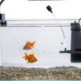 thumbnail image 3 of Miangastore 30pcs Fish Tank Aquarium Air Inline Tubing Connector Valves Small Aquarium Valves, 3 of 9