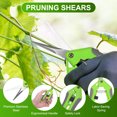 thumbnail image 2 of Uxcell 4-Pack Bypass Pruning Shears for Garden, 6.6 Inch Stainless Steel Scissors, 2 of 6