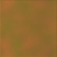 thumbnail image 1 of Ahgly Company Tapis d'Intérieur Lavable en Machine Carré Transitionnel Acajou Brun, 5 Pieds Carré, 1 of 7