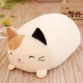 thumbnail image 2 of Coussin en Duvet Animal Chat Fleur, Oreiller en Duvet Adapté pour Offrir à des Êtres Chers Camarades de Classe Comme,23 cm, 2 of 4