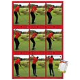 thumbnail image 1 of Tiger Woods - Conduire, 1 of 4