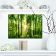 thumbnail image 1 of Design Art - Forêt avec Rayons de Soleil Panorama, 1 of 3